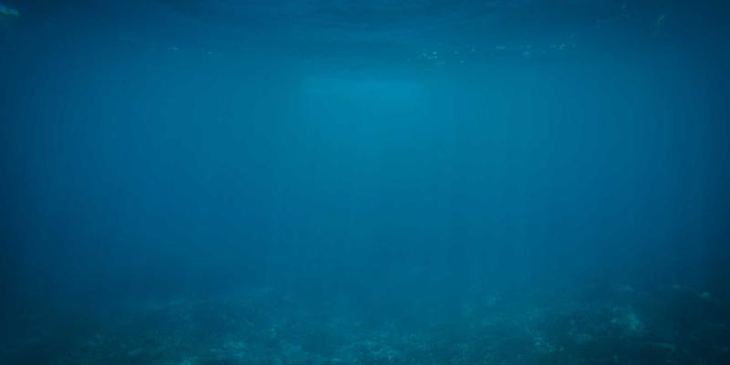 环保对比评测：环保手套可降解与耐用型